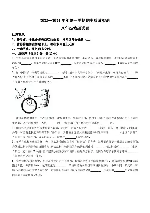 河南省洛阳市2023-2024学年八年级上学期期中质量检测物理试题(含答案)
