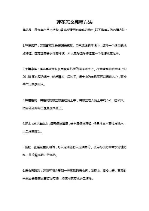 莲花怎么养殖方法
