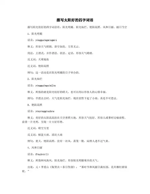 描写太阳好的四字词语
