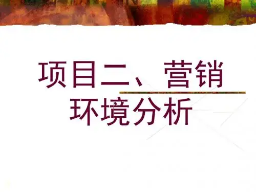 项目二、营销环境分析