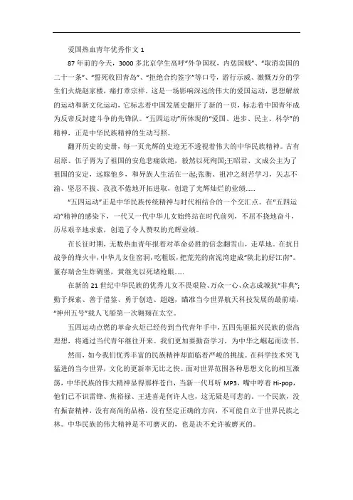 爱国热血青年优秀作文五篇