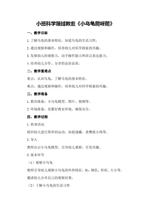 小班科学领域教案《小乌龟爬呀爬》