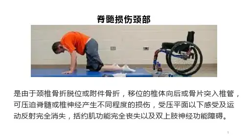 脊髓损伤的并发症及护理PPT课件