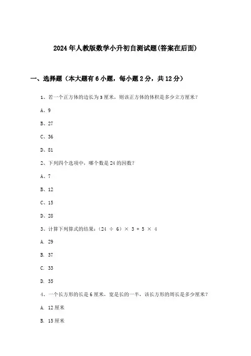 人教版数学小升初试题与参考答案(2024年)