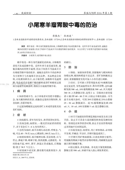 小尾寒羊瘤胃酸中毒的防治