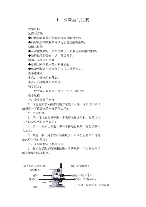 水滴里的微生物