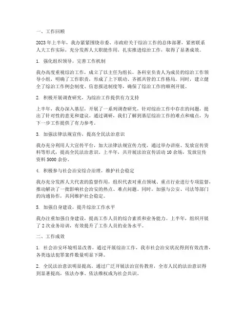 人大办综治半年工作总结