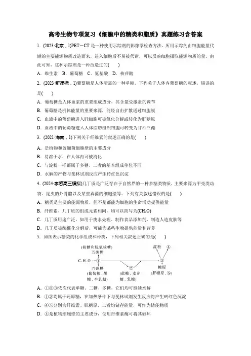 高考生物专项复习《细胞中的糖类和脂质》真题练习含答案