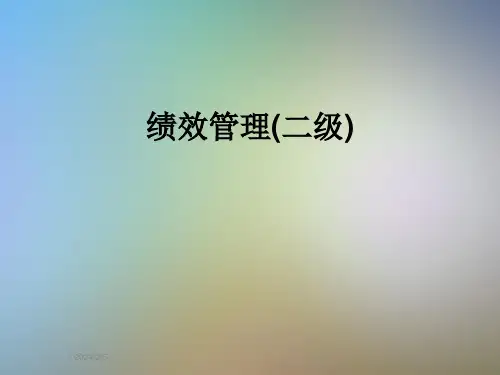 绩效管理(二级)