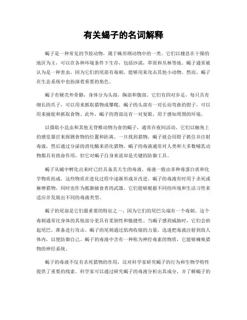 有关蝎子的名词解释