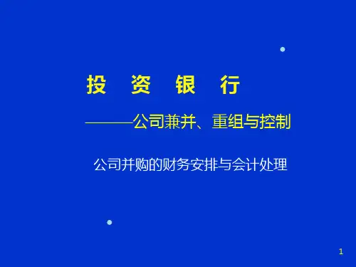 北大投资银行课程讲义(3)(PPT 250页)