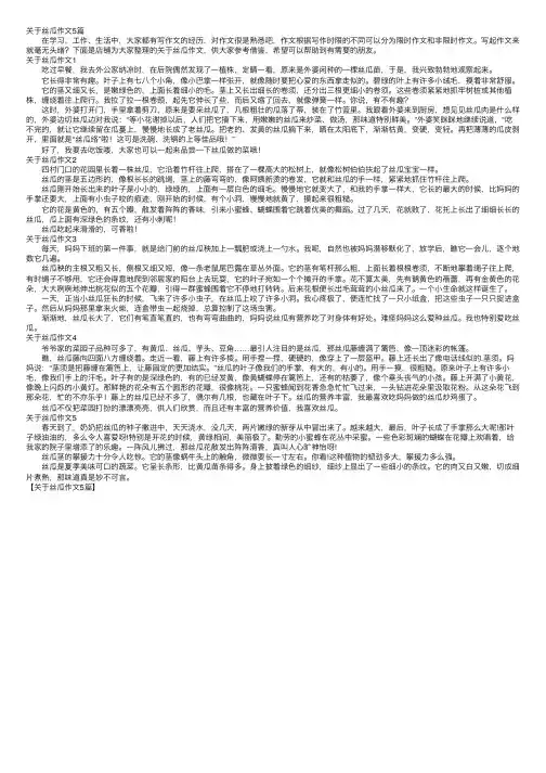 关于丝瓜作文5篇