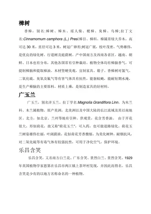 园林绿化常用乔木灌木