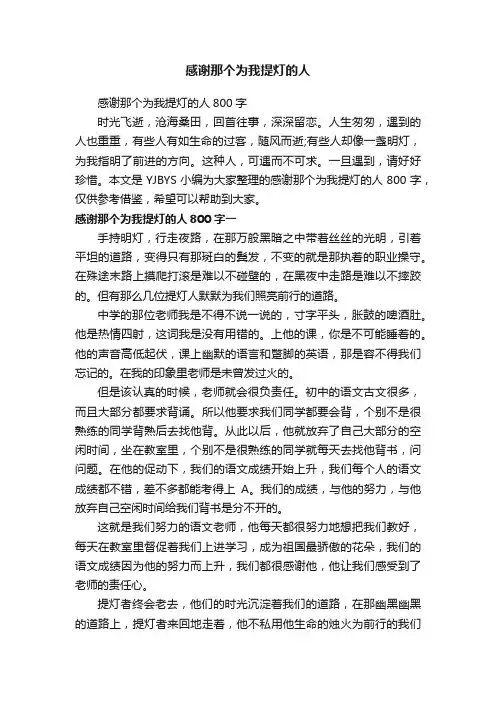 感谢那个为我提灯的人800字