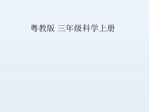 粤教版三年级科学上册全册课件