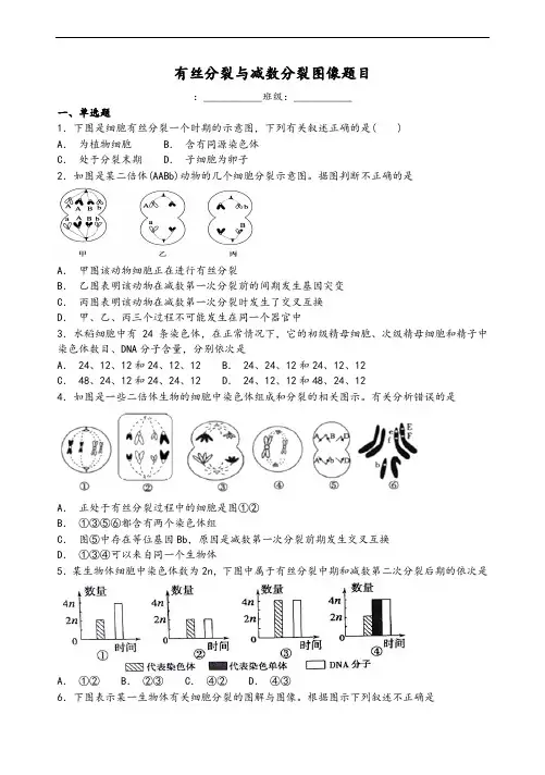 专题：有丝减数与有丝分裂图像题目及问题详解
