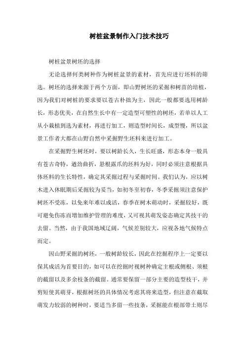 树桩盆景制作入门技术技巧