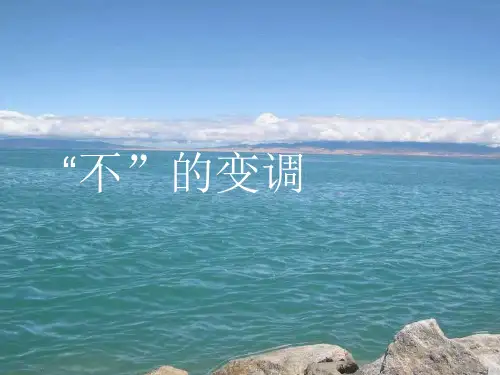 “不”的音变