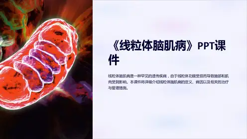 《线粒体脑肌病》课件