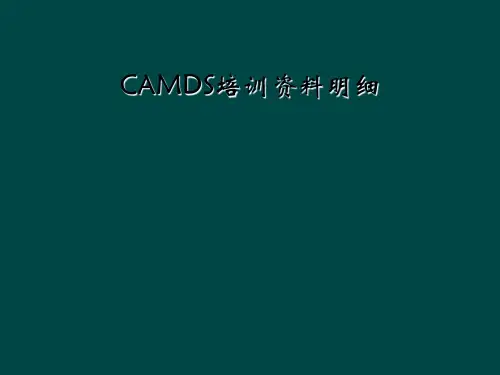 CAMDS培训资料明细