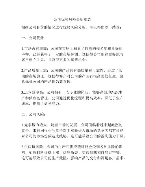 公司优势风险分析报告