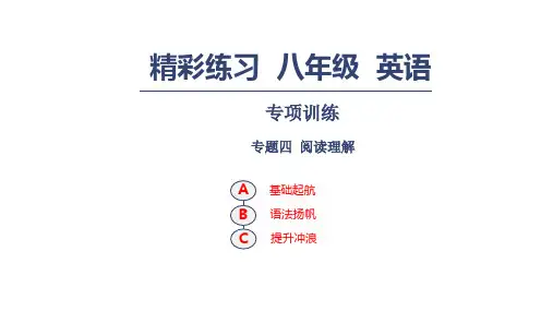 人教新目标八年级英语上册习题课件：专项训练 专题四 阅读理解(共41张PPT).pptx