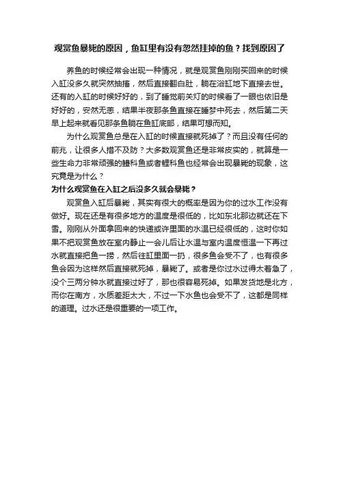 观赏鱼暴毙的原因，鱼缸里有没有忽然挂掉的鱼？找到原因了