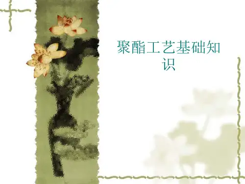 聚酯工艺基础知识2