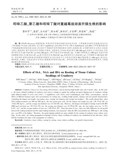 吲哚乙酸、萘乙酸和吲哚丁酸对蔓越莓组培苗扦插生根的影响