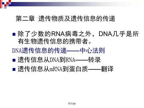 中医药研究常用分子生物学技术-108页PPT资料