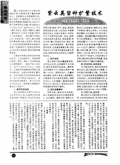 紫云英留种扩繁技术