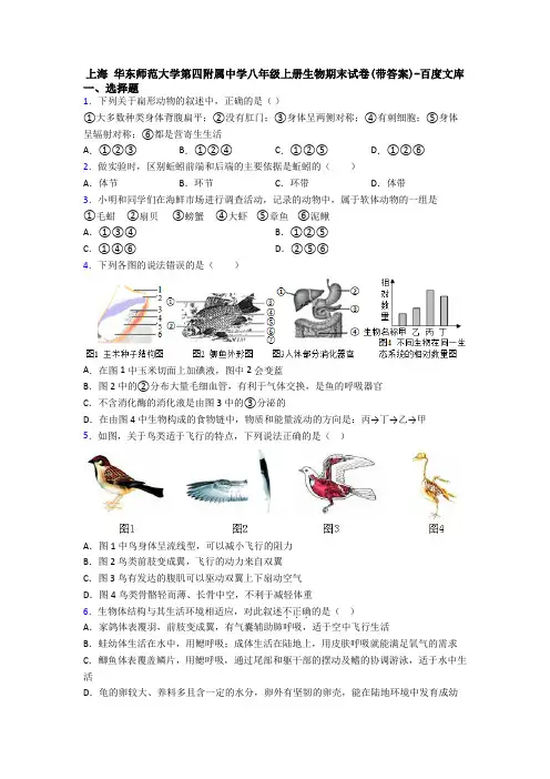 上海 华东师范大学第四附属中学八年级上册生物期末试卷(带答案)-百度文库