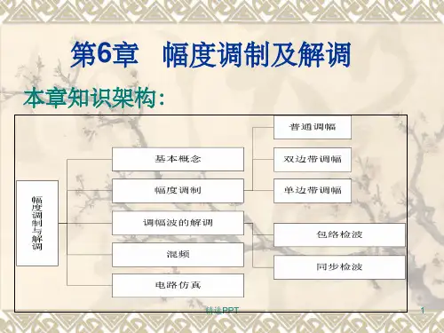 《幅度调制及解调》PPT课件