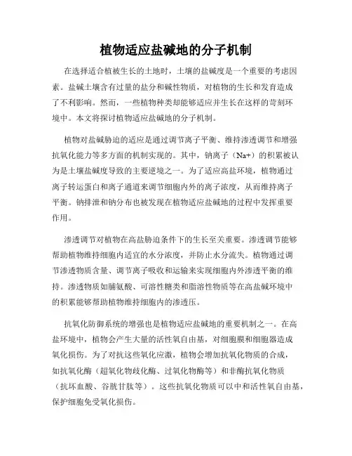 植物适应盐碱地的分子机制
