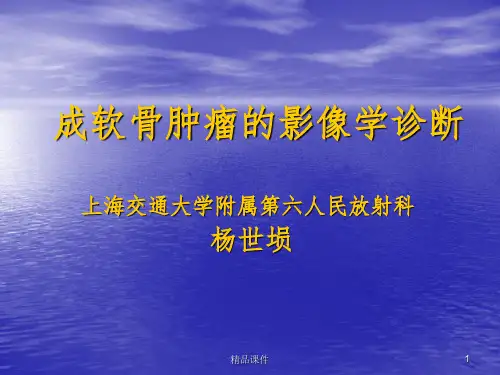 成软骨性骨肿瘤的影像学诊断ppt课件