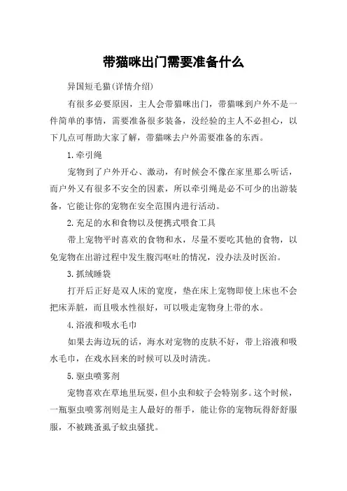 带猫咪出门需要准备什么