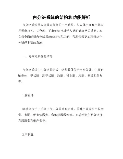 内分泌系统的结构和功能解析