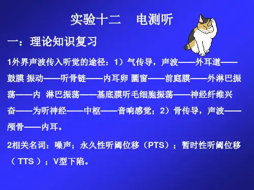 电测听