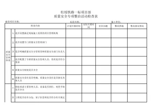质量安全专项整治活动检查表