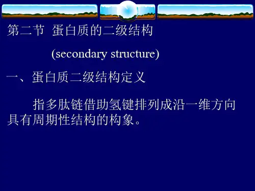 生物化学—蛋白质的二级结构