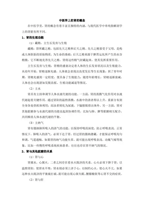 中医学上的肾的概念