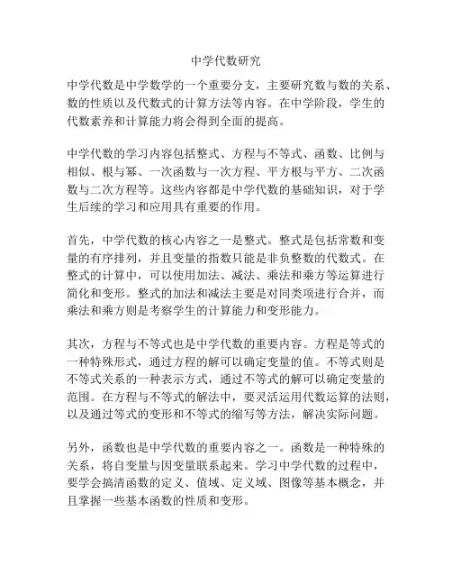 中学代数研究