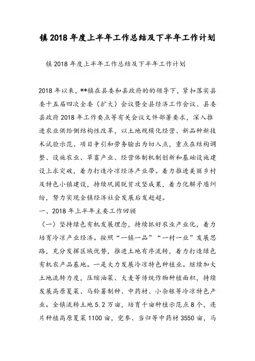镇2018年度上半年工作总结及下半年工作计划