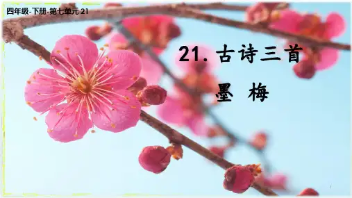 最新人教部编版小学语文四年级下册《墨梅》精品课件