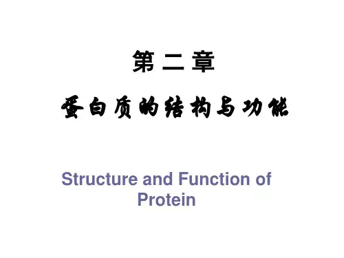 第2章蛋白质的结构与功能