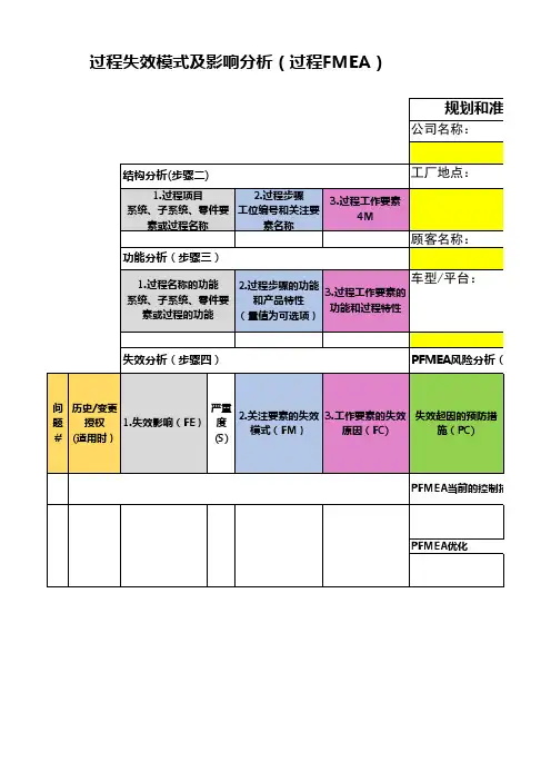 2019新版PFMEA表格 --过程失效模式及影响分析(过程FMEA)-PFMEA软件视图