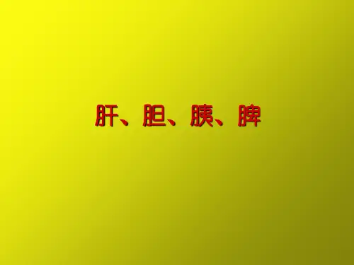 上腹部影像诊断