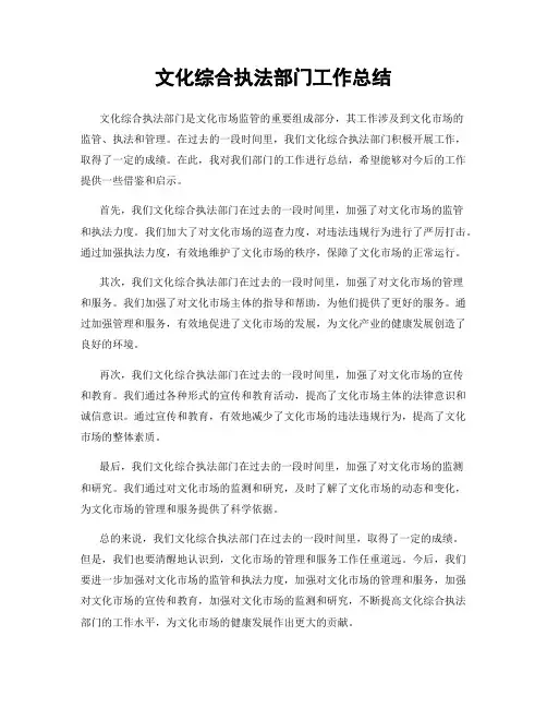 文化综合执法部门工作总结