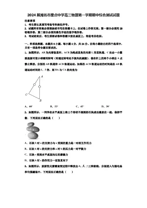 2024届潍坊市重点中学高三物理第一学期期中综合测试试题含解析