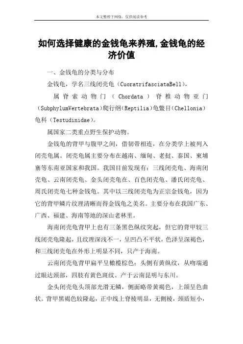 如何选择健康的金钱龟来养殖,金钱龟的经济价值